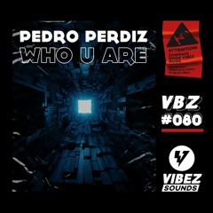 Pedro Perdiz - Who U Are (Radio Edit)
