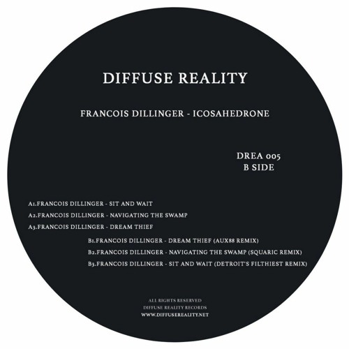 *PREMIERE* Francois Dillinger - Navigating The Swamp (Squaric Remix)