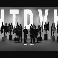 Nguyên Team Đi Vào Hết |#NTDVH Binz x Triple D (Vertu's remix)