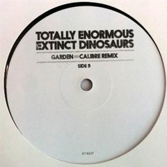 T.E.E.D & Calibre - Garden (XNA's Jungle Edit)