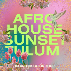 Island Disco Afro House Sunset  Tulum 2025