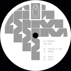 Dolly TS-11: Juri Heidemann - Echo Mute