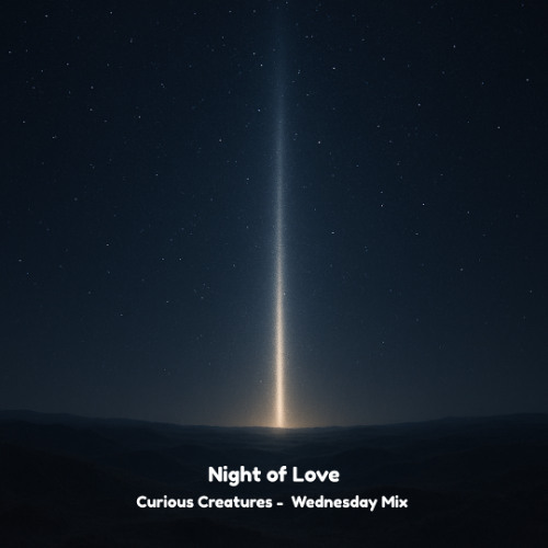 Night of Love - Live at Curious Creatures (Nowhere 2025)