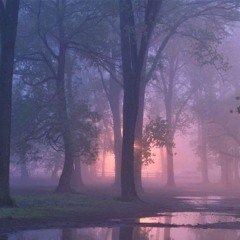 Dream