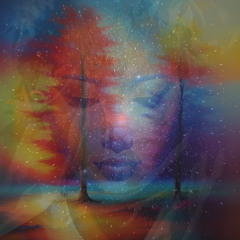 manifest