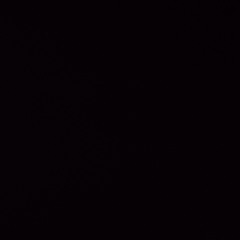 ANTROPOLOGIA SINTETICA 5 (Fanmade)