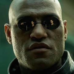 You Has