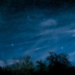 Autumn Night Skies