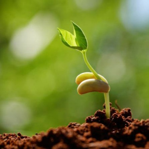 Đã Đến Lúc Ngồi Lại Với Nhau Chưa- Thích Minh Niệm