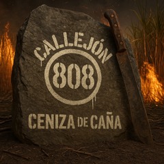 Ceniza de Caña - CALLEJÒN 808