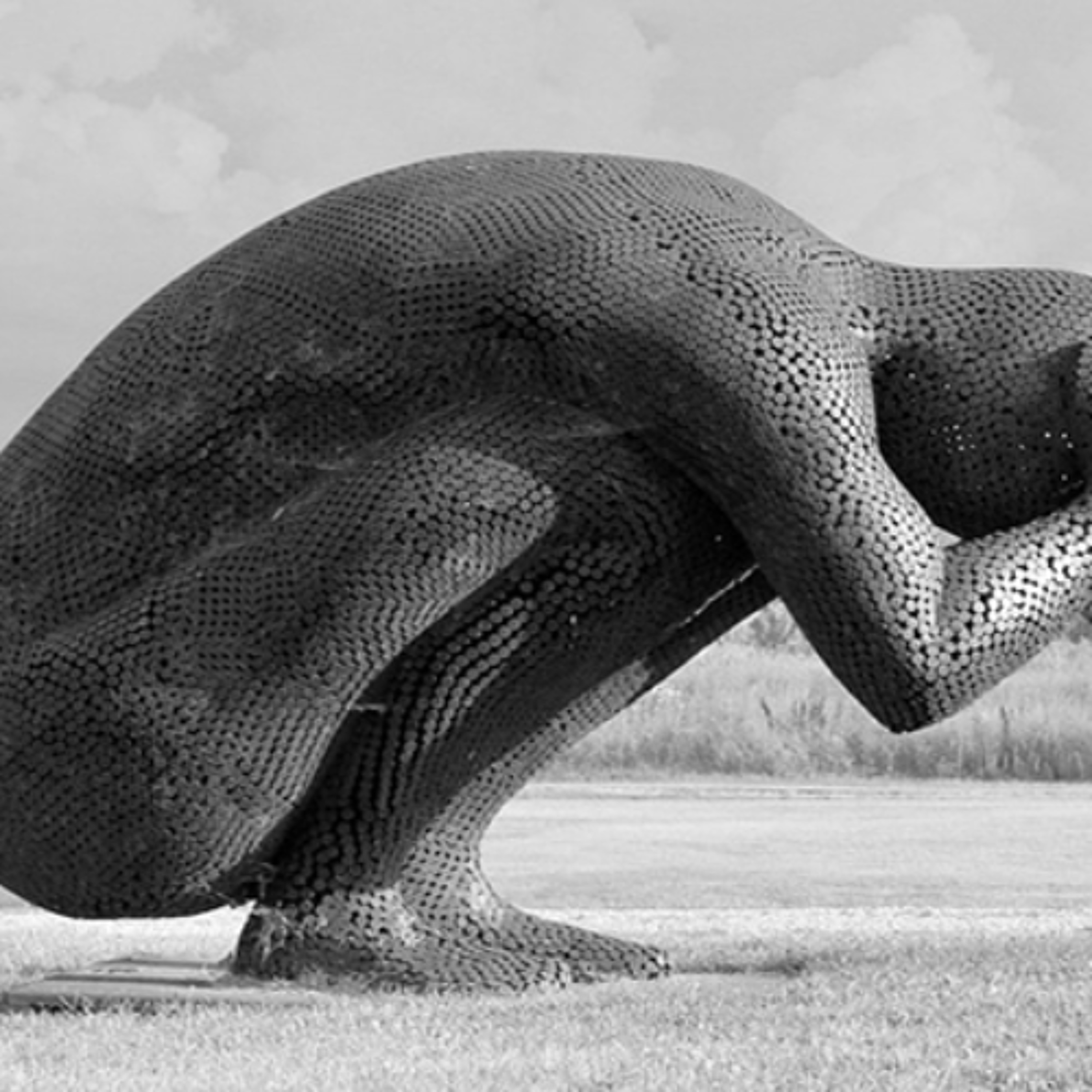 Food for the soul -  It’s always better to bend than to break - Joanna Kitto – 25/02/25 episode artwork
