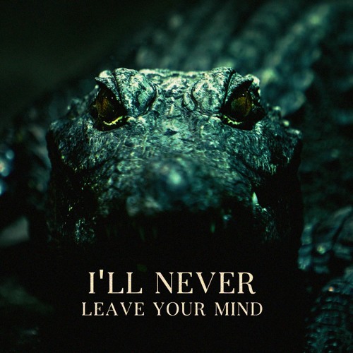 MORSURE - I'll Never Leave Your Mind