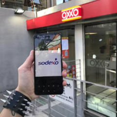 lemonghask, trinset - SODEXO