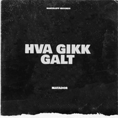Hva gikk galt
