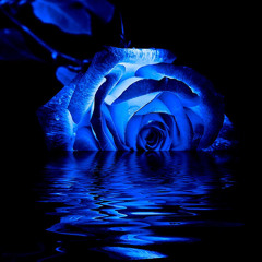 Questions ft Trxxped