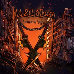 Brilliant Fight