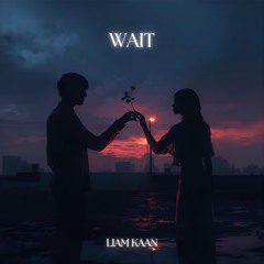 Wait (Melodic House)