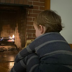 Feu de bois de cheminée