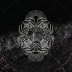 Sonósferas 2. El ruido blanco o los fantasmas de la percepción