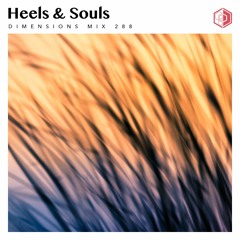 DIM288 - Heels & Souls
