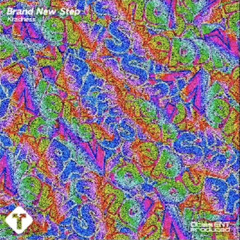 Brand New Step - Kradness