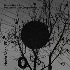 Mattias Herrera - Nacht Vogel (Siiker Remix)