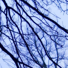 Beautiful Things Dont Ask For Attention