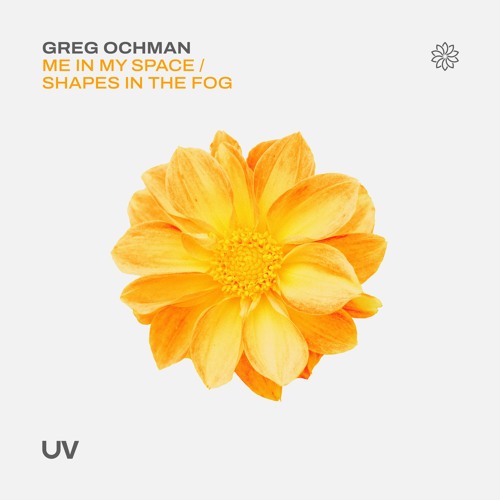 Shapes In The Fog