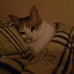втоцьудадвдц