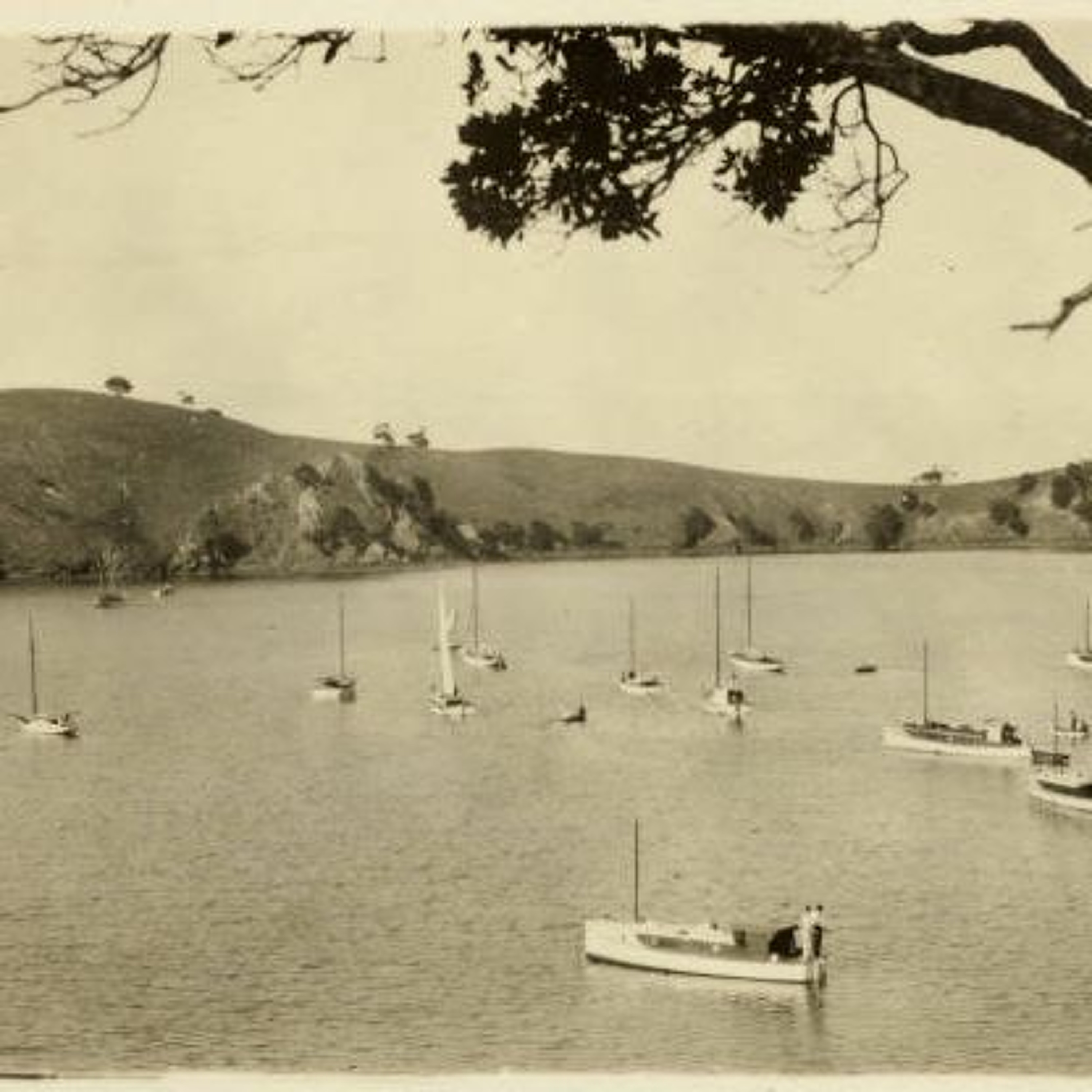 Waiheke Island: Paul Monin on Te Pūtiki o Kahu episode artwork