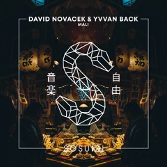 DAVID NOVACEK & YVVAN BACK- Mali (Original Mix)