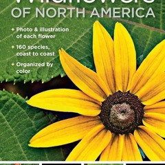 ✔ PDF ❤  FREE National Geographic Pocket Guide to Wildflowers of North