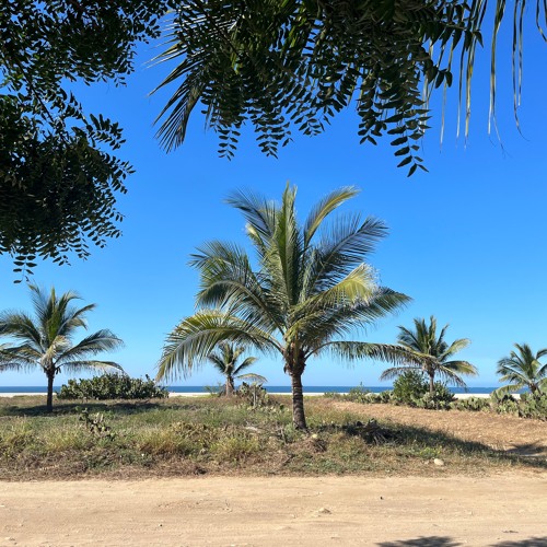 Real Hot - By Elementry