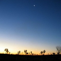Desert Visions 2020