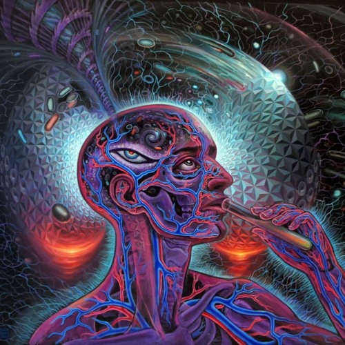 #8 ⪮ Ecstatic Vibrations // Ecstatic Dance, Dec. 2020