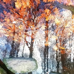 where can we go and hide?