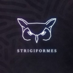 AIRPORT (STRIGIFORMES SELECTS)
