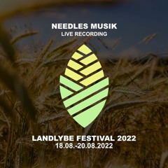 Needles Musik I Landlybe Festival 22 I 20.08.2022 I Bassum / Neubruchhausen