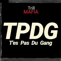 Trill Mafia ft Pluton & Viny - TPDG 2