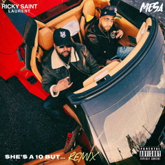 She’s A 10 but… (Remix)