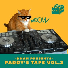 DNAM PRESENTS - PADDY'S TAPE VOL.2