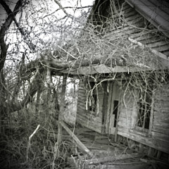 Tyrano Implacable de la Casa