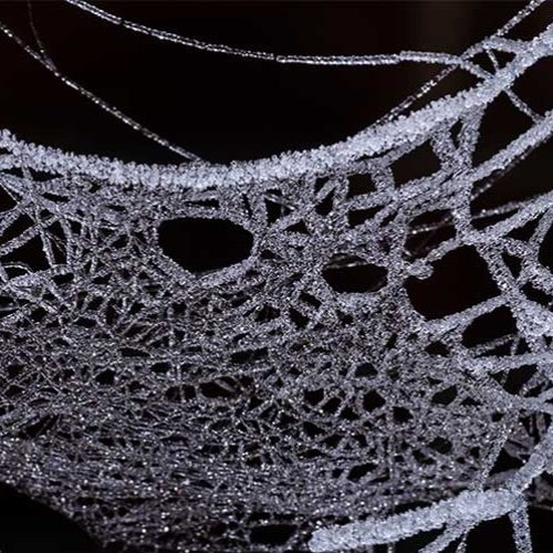 Web.deW