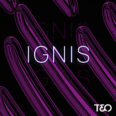 Ignis - T3O