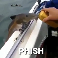 PHISH (fish) 1 Hour