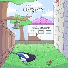 magpie