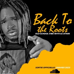 MIXTAPE BACK TO THE ROOTS ( DJ SPARK )