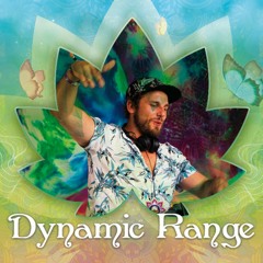 Dynamic Range [at] New Healing @ Home 2020