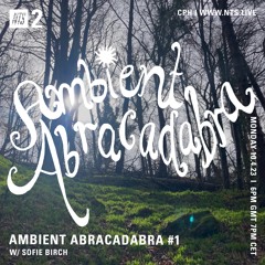 Ambient Abracadabra w/ Sofie Birch 100423