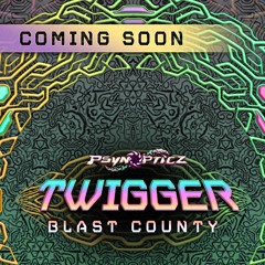 TWiGGER & Sep Scoota  - KooKoo Pizza ( Preview ) Out Soon On PsynOpticz Records